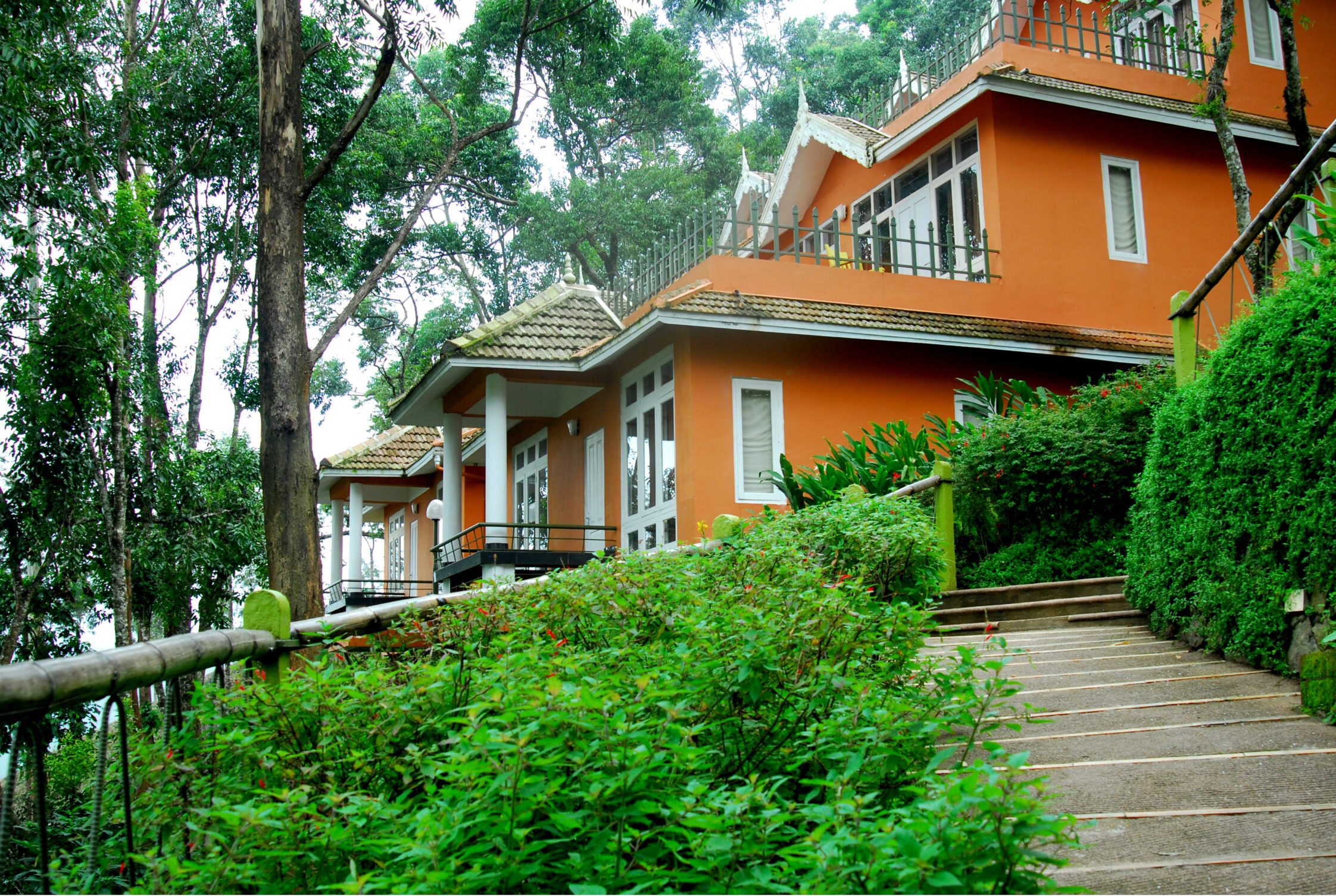 Tea Valley Resort