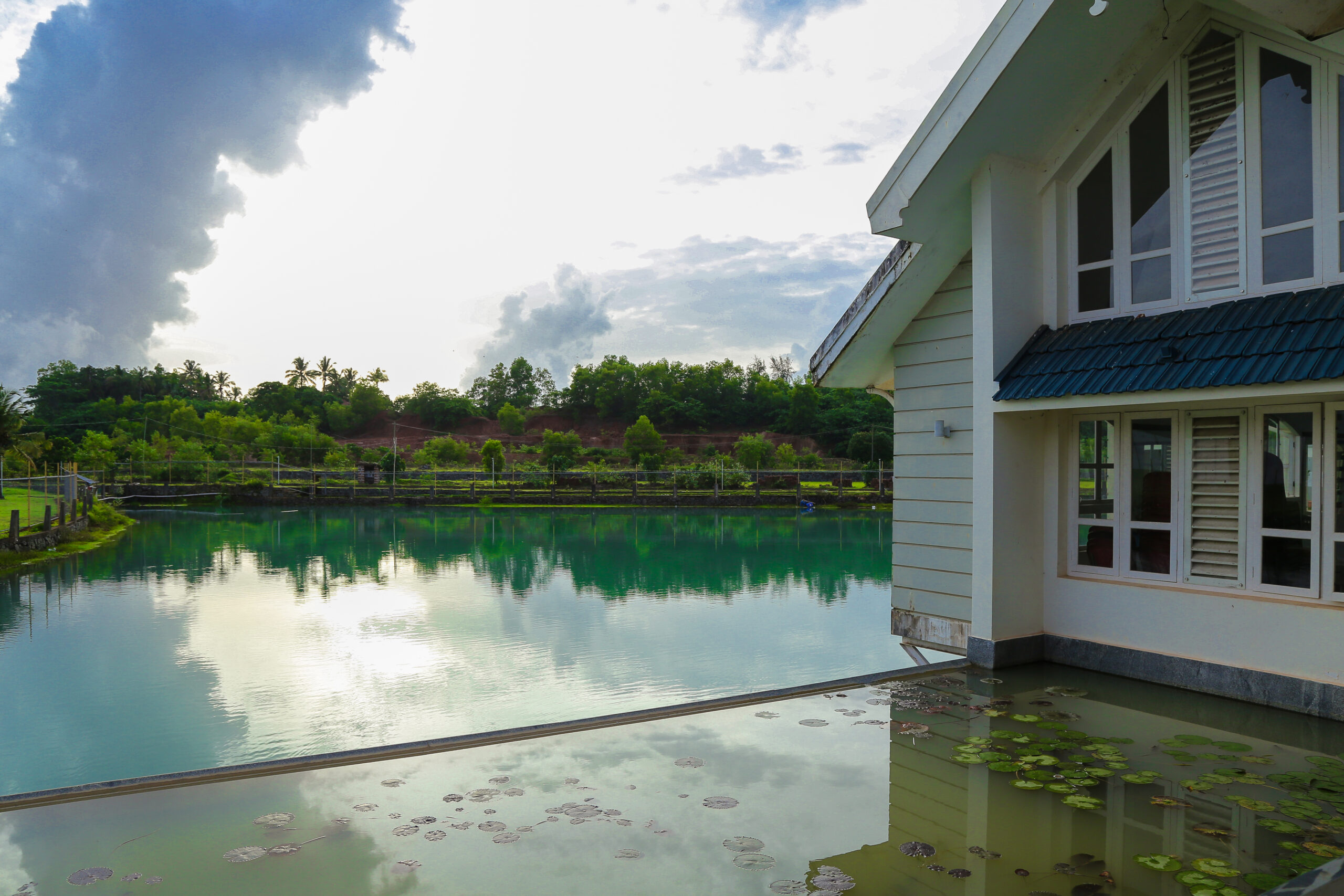 Palm Meadows Residential development