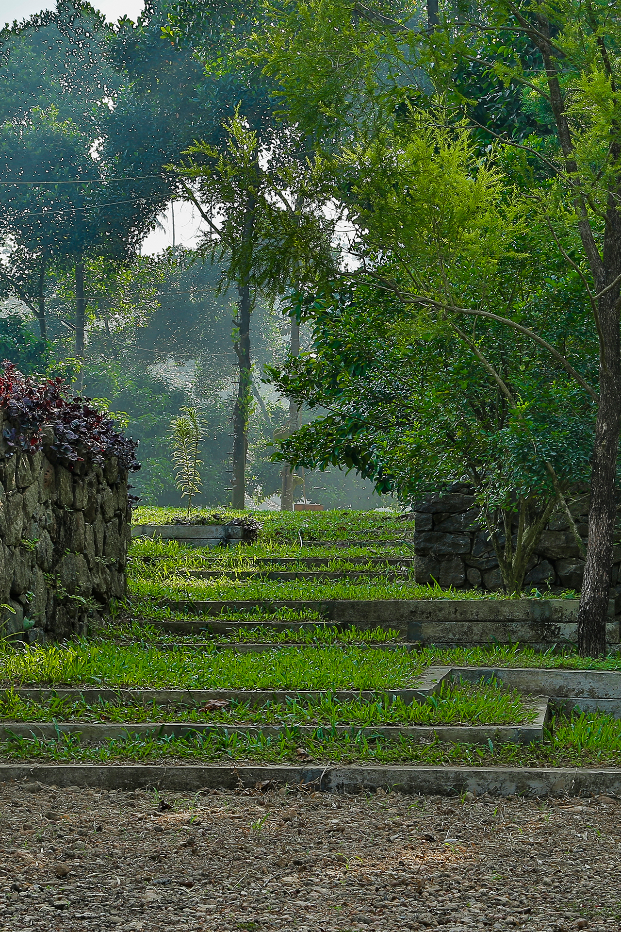 Landscape Architecture